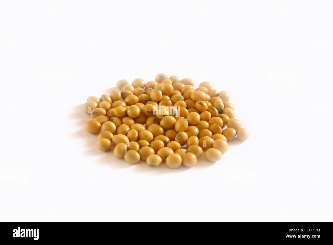 Soybean or soyabean source of food and oil on white background Stock Photo