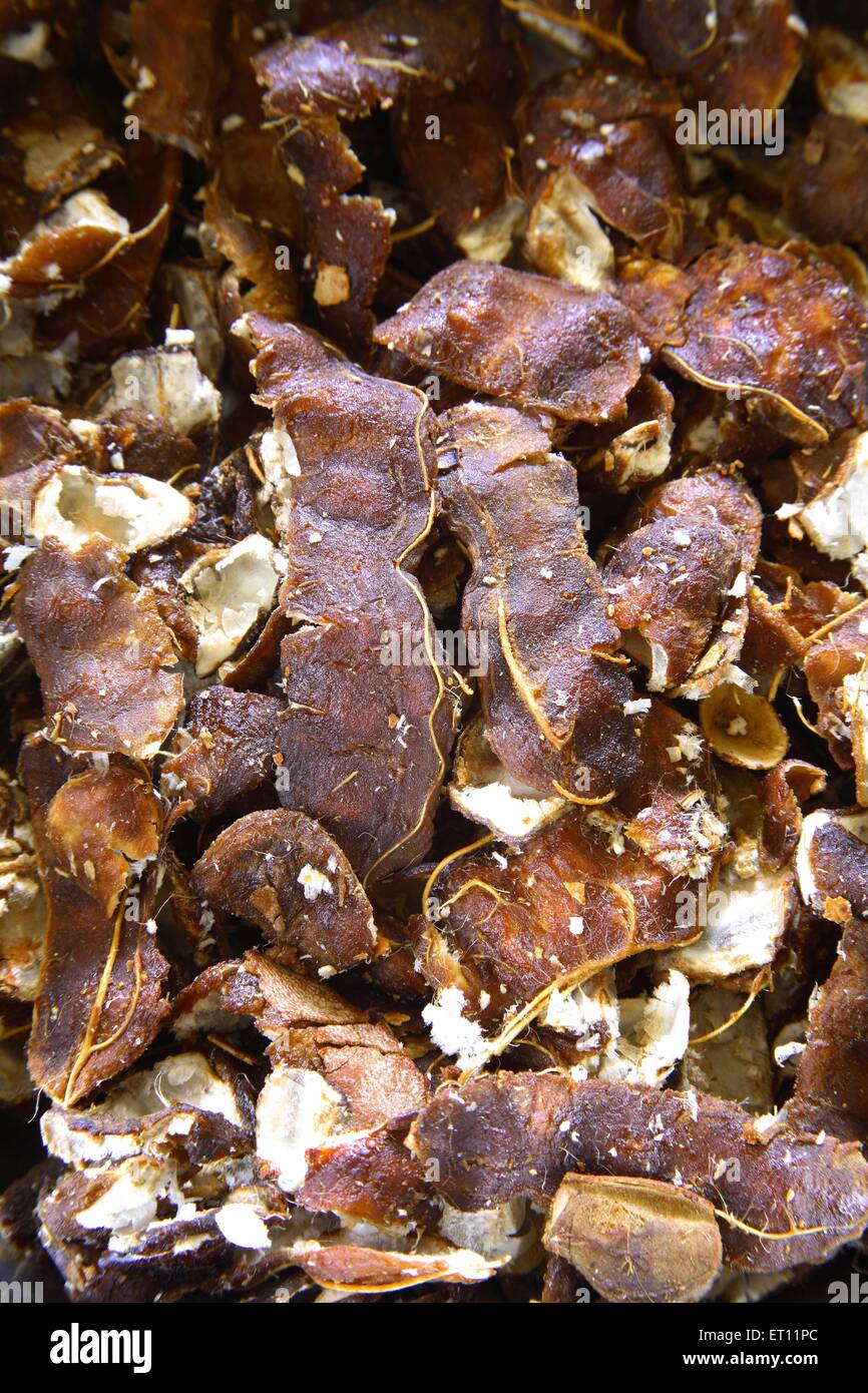 Ayurvedic Medicine Herbal Fruit And Spices Imli Tamarind Tamarindus Stock Photo Alamy Ayurvedic Medicine Herbal Fruit And Spices Imli Tamarind Tamarindus Stock Photo Alamy