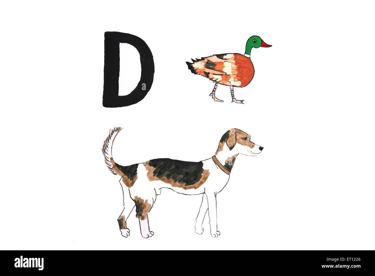 d for duck, d for dog Stock Photo