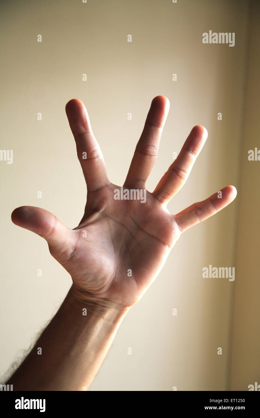 Man showing five fingers of open palm hand - MR#201 Stock Photo