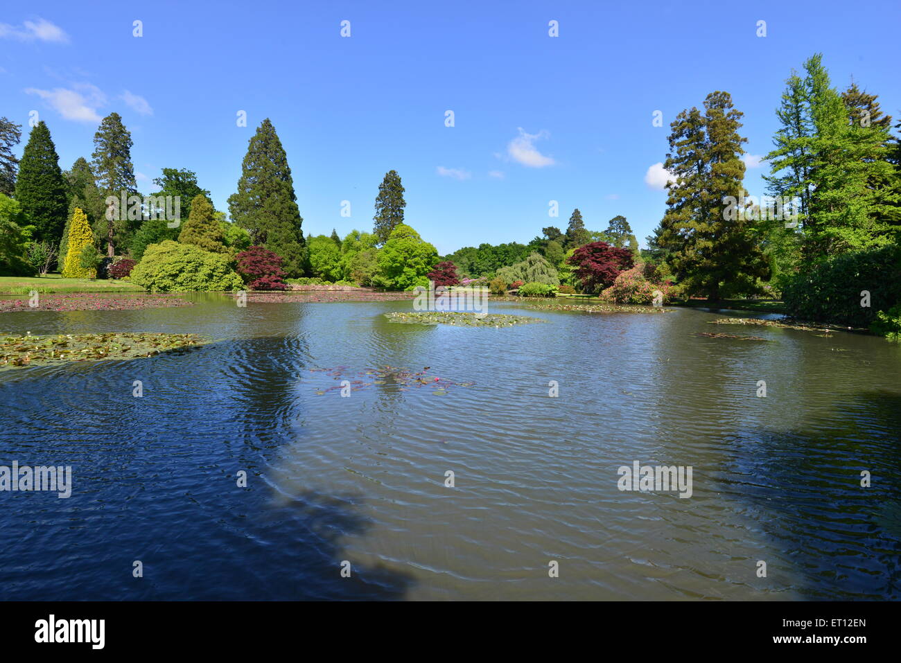Sheffield Park garden and country estate Stock Photo Alamy
