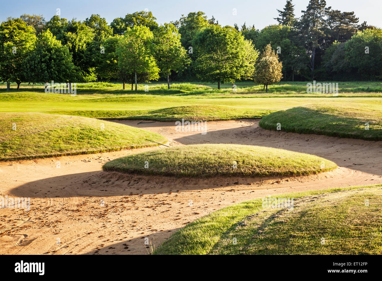 A  bunker on a typical golf course in early morning sunshine. Stock Photo