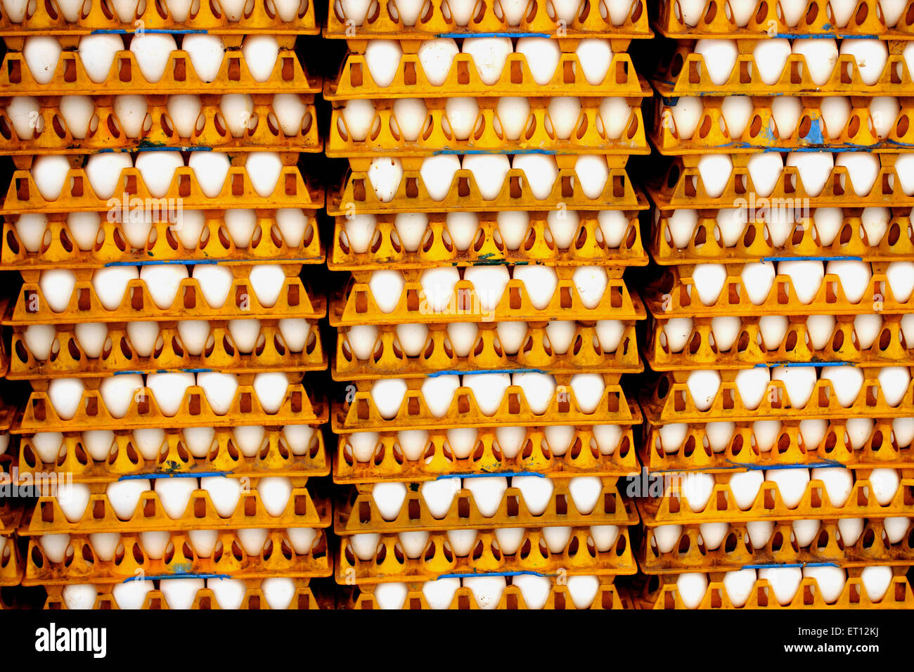 Eggs in trays ; India Stock Photo Alamy