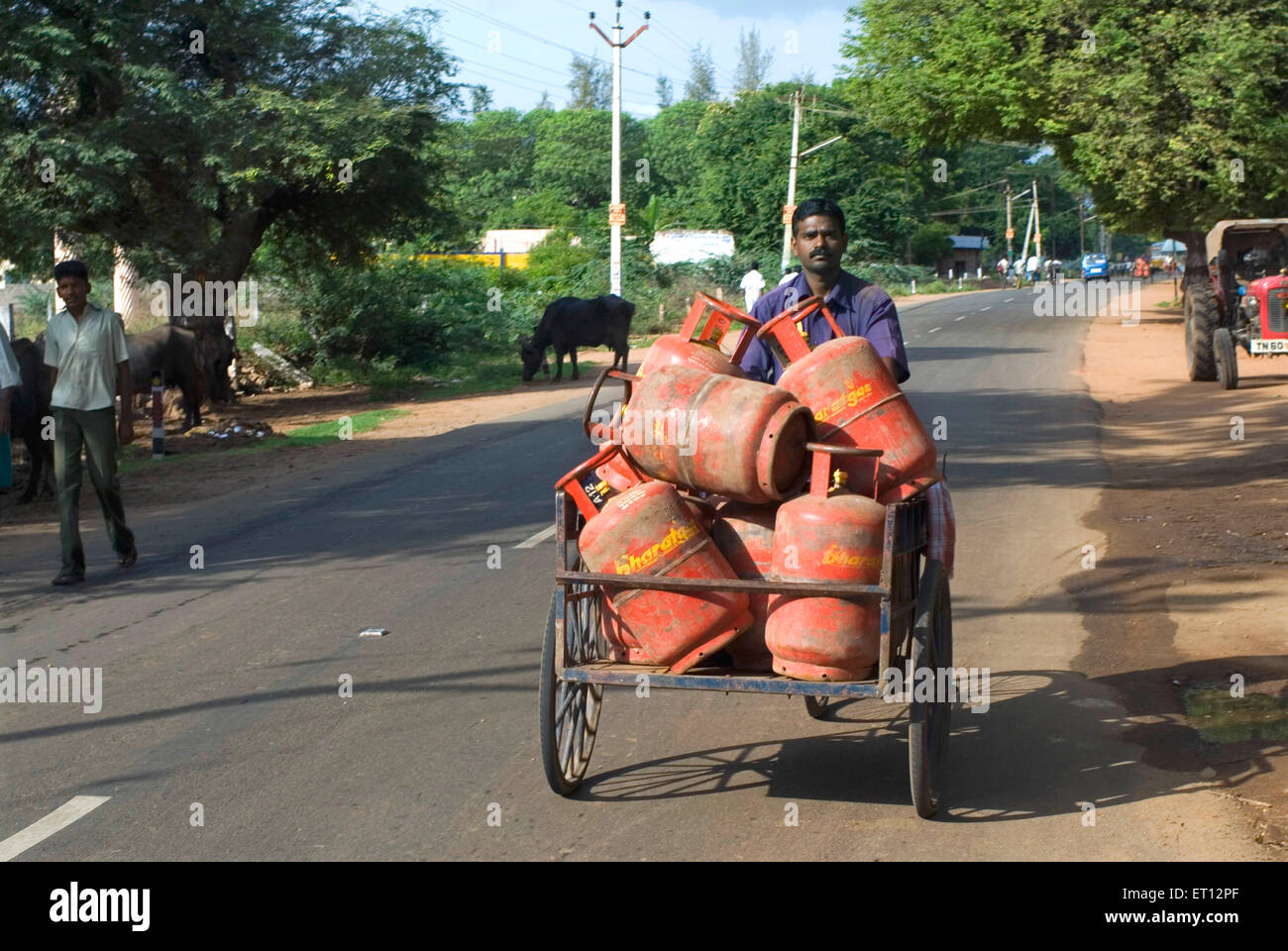 Man carrying LPG cylinders on tricycle ; Tamil Nadu ; India Stock Photo
