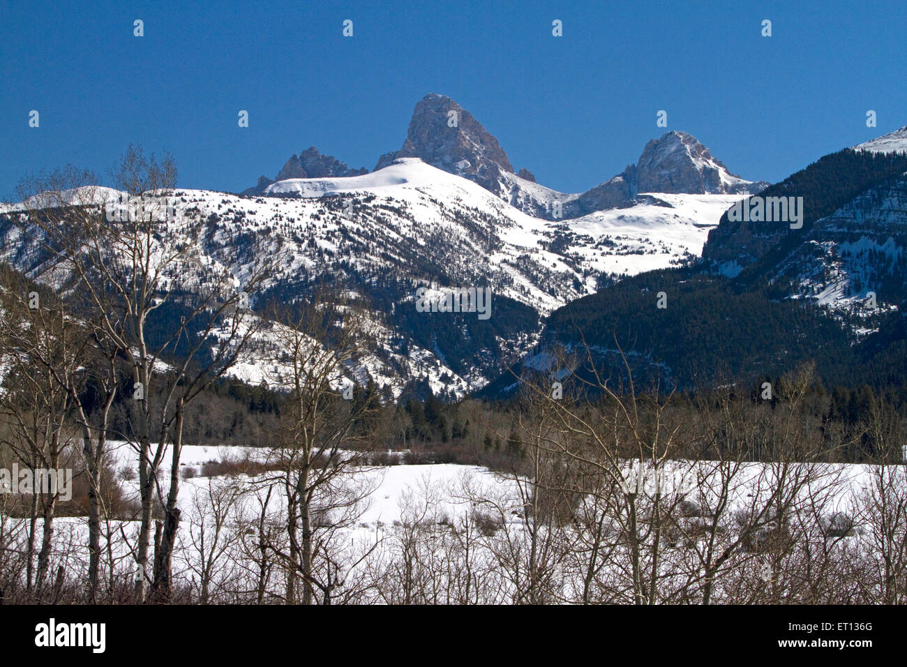 View of the west slope of the Teton Mountain range in Wyoming, USA. Stock Photo