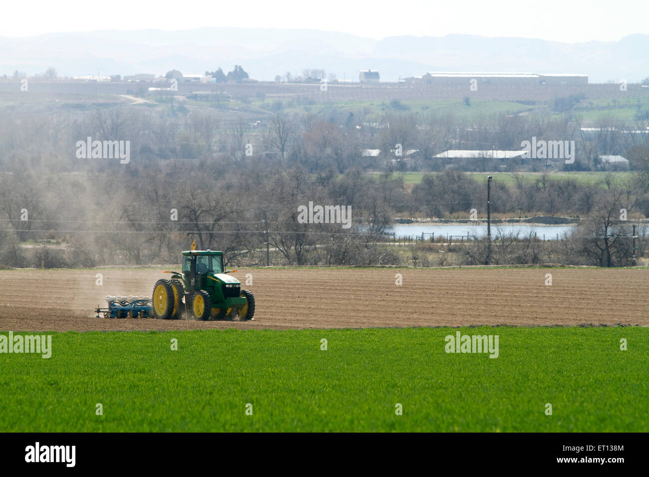 Spring planting of corn in Canyon County, Idaho, USA. Stock Photo