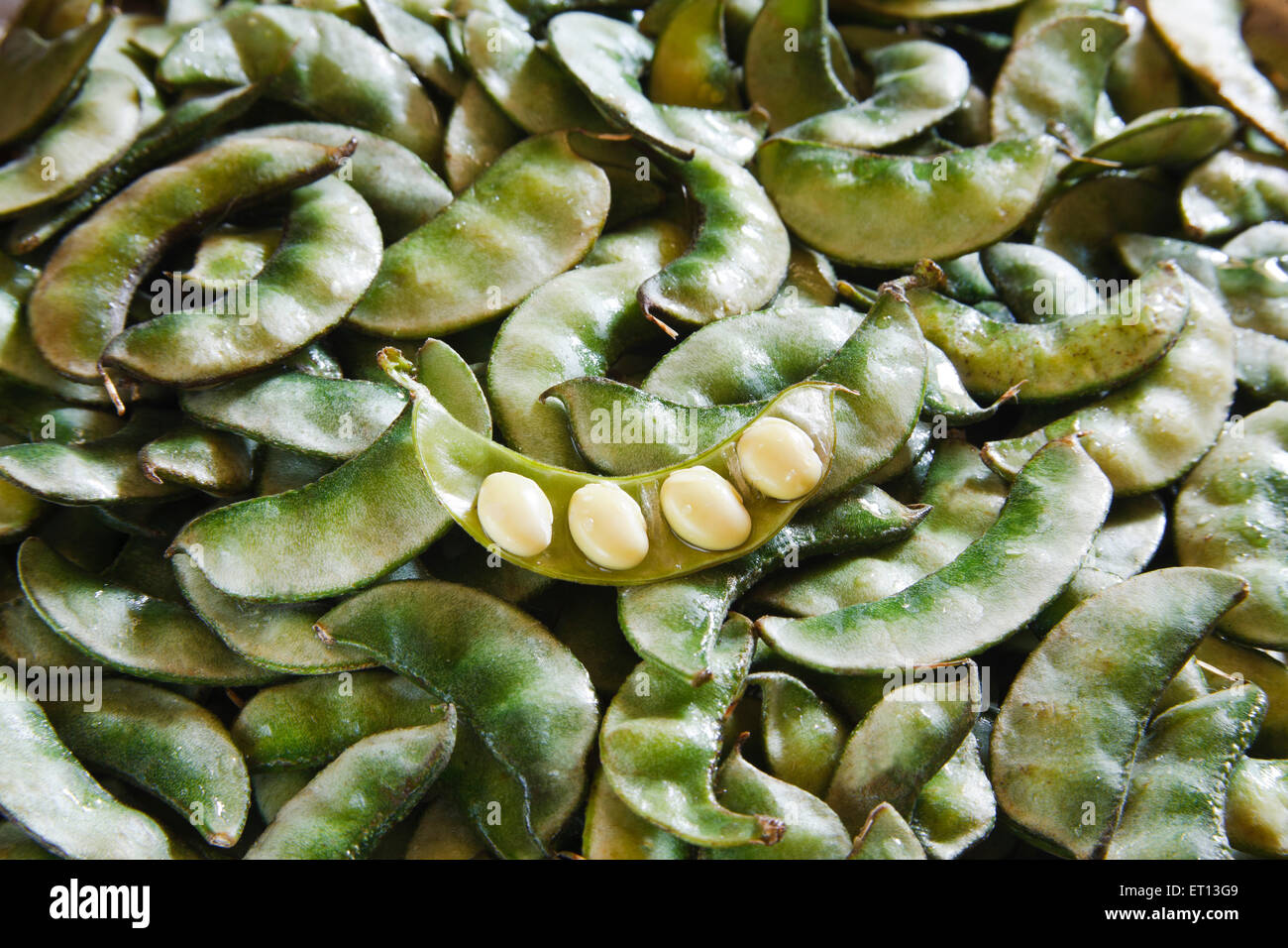 Green beans, french beans, string beans, snap beans, snaps Stock Photo