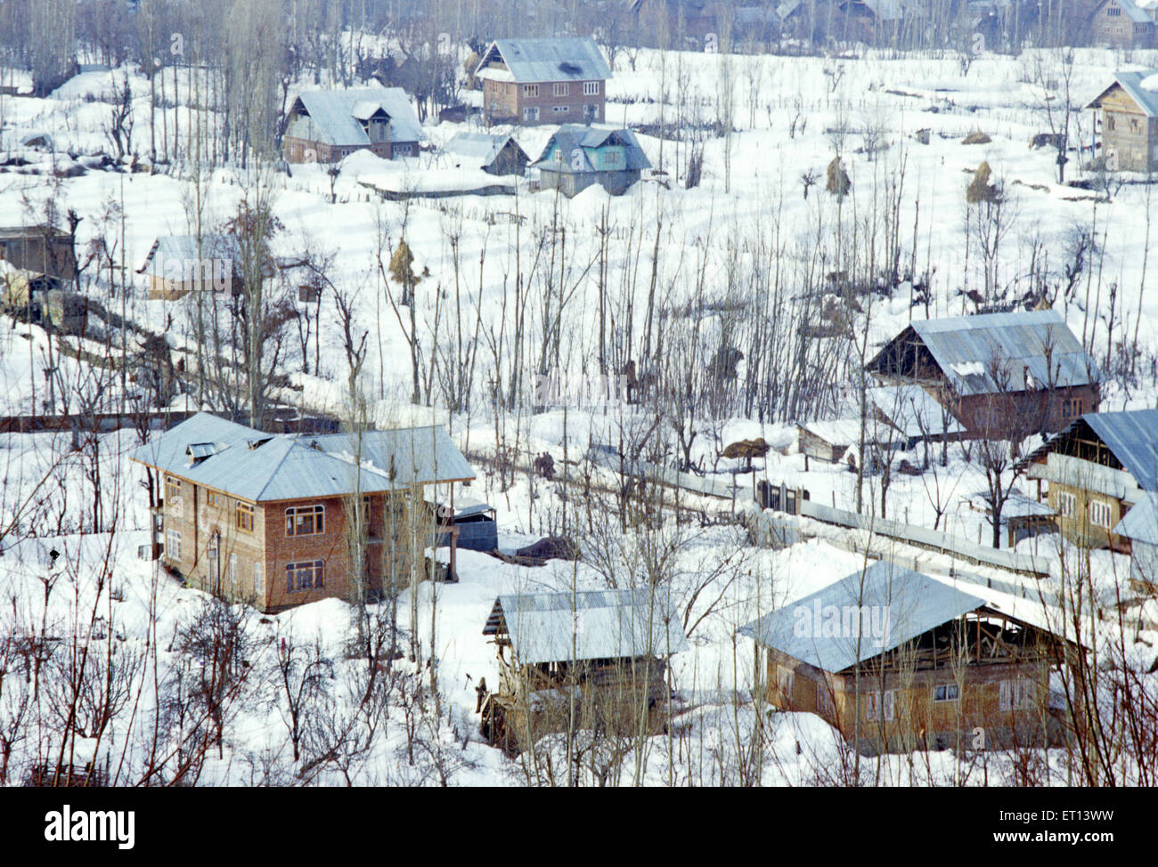 Winter season in Kashmir ; Jammu and Kashmir ; India Stock Photo