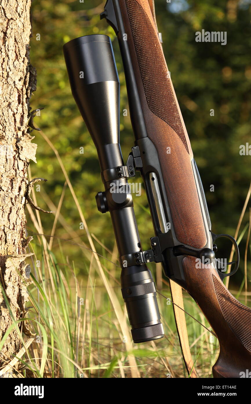 A Hunting rifle with scope leaning on a tree Stock Photo
