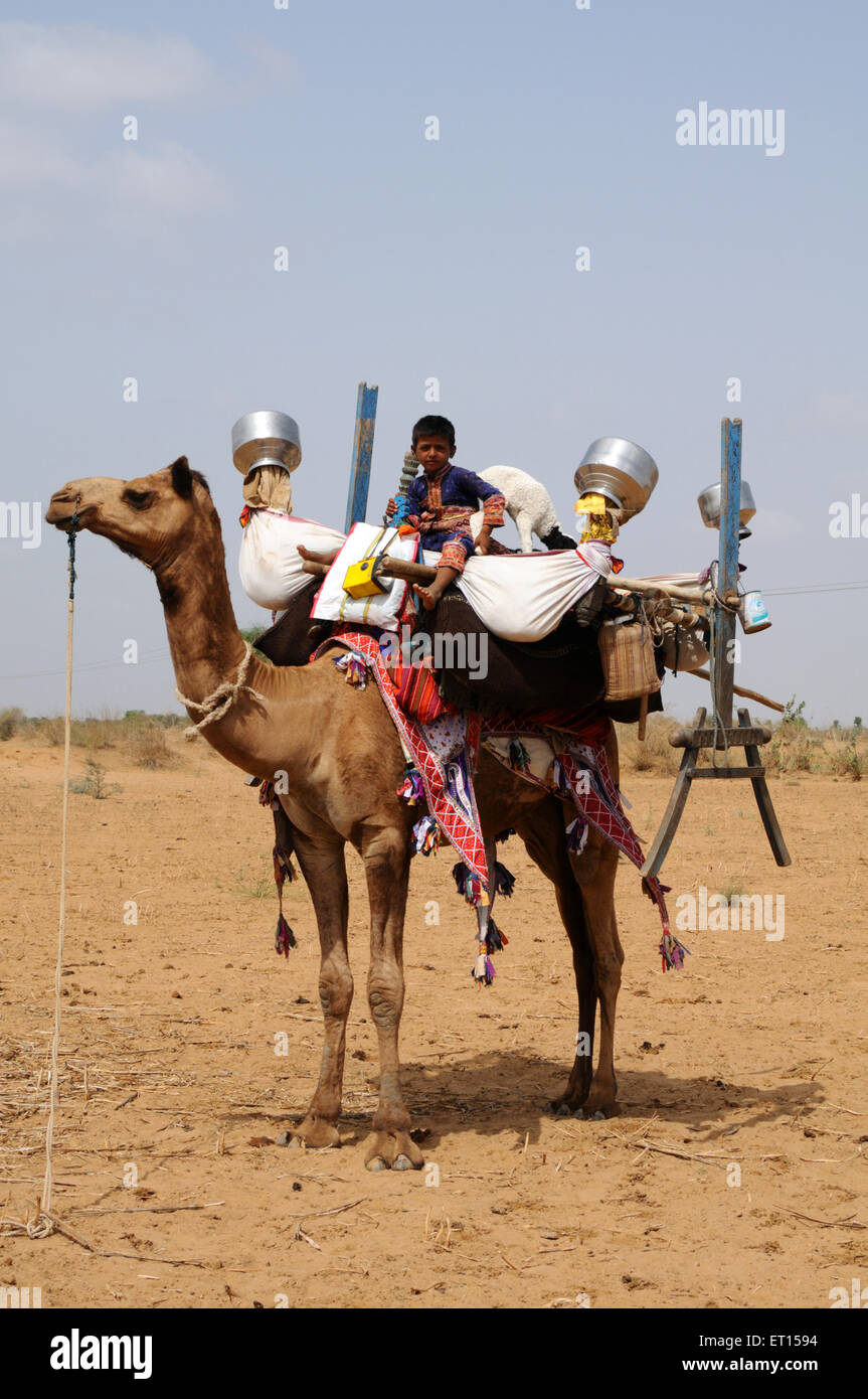 Camel carrying household thing and gypsy boy ; Kutch ; Gujarat ; India Stock Photo