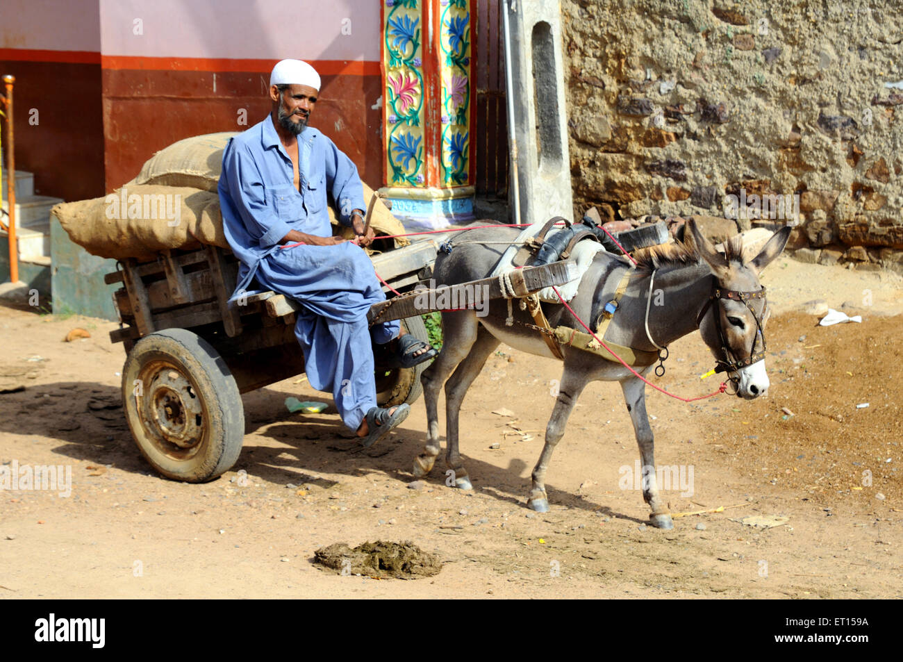Donkey cart in Mindiyada near Anjaar ; Kutch ; Gujarat ; India Stock Photo