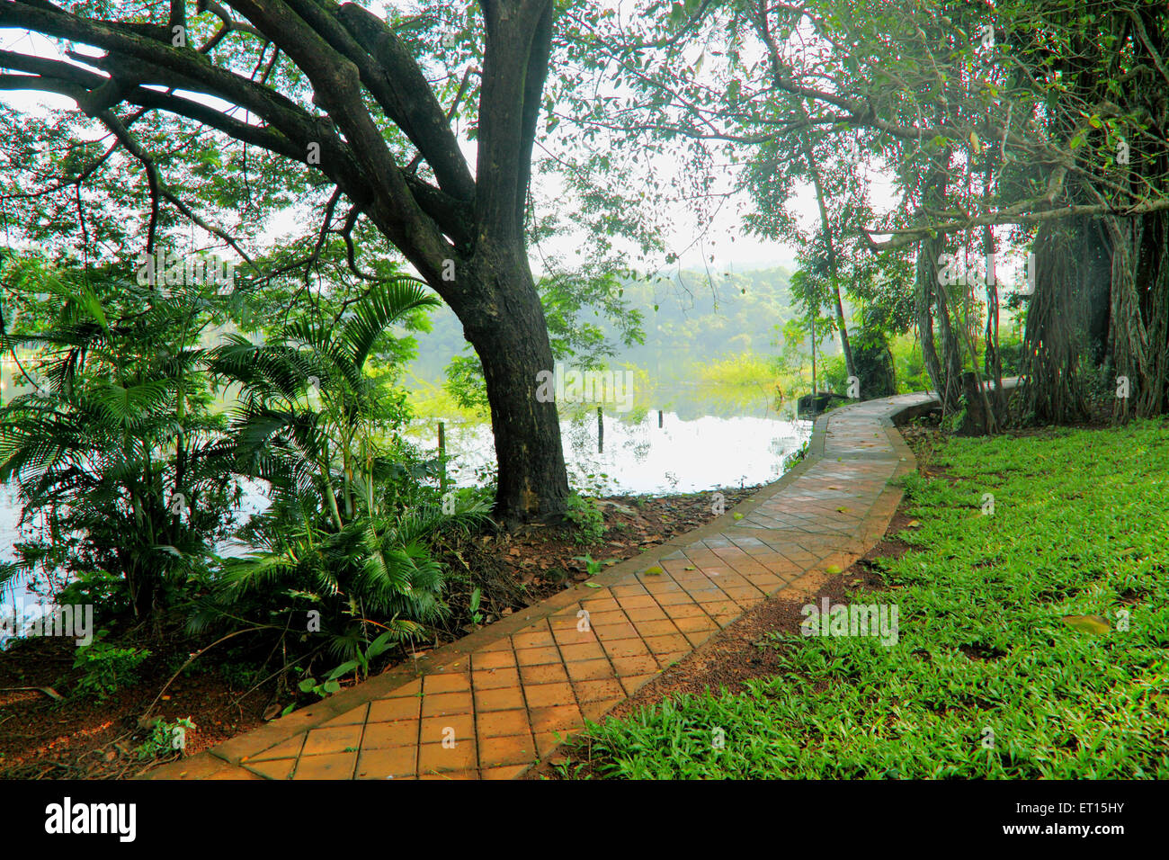 walking path in Maya Lake Bicholim Goa India Asia Stock Photo