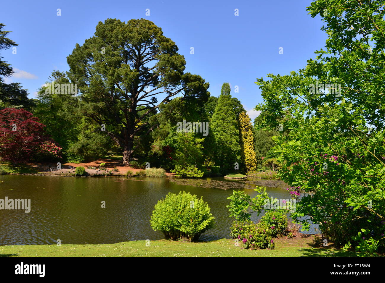 Sheffield Park garden and country estate Stock Photo Alamy