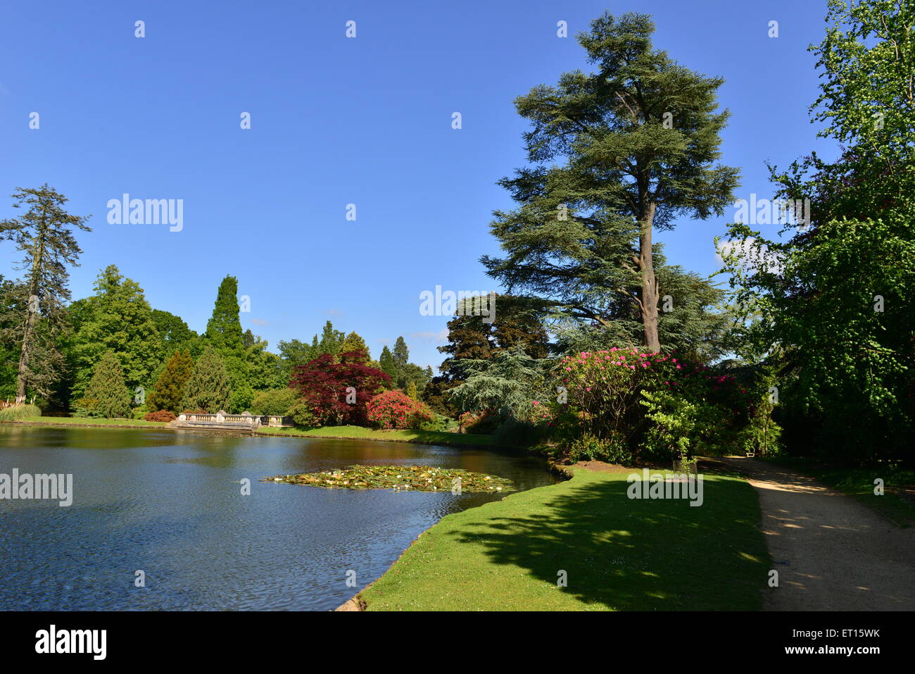 Sheffield Park garden and country estate Stock Photo Alamy