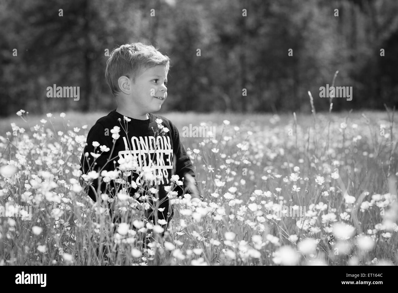 little cute boy child in a wonderful field of yellow flowers smiling and laughing Stock Photo