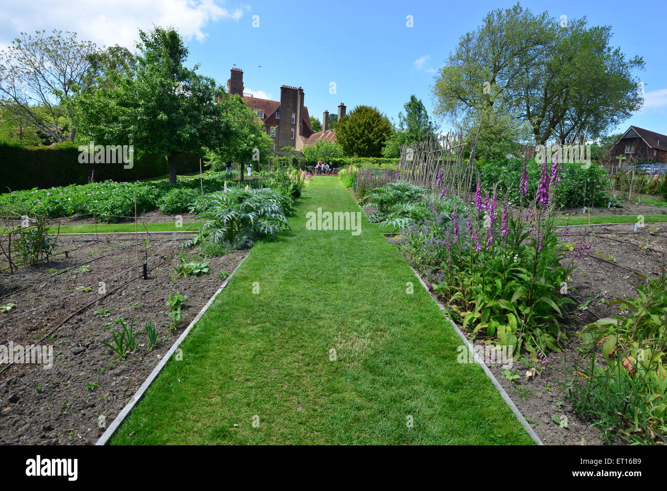 An English country garden Stock Photo