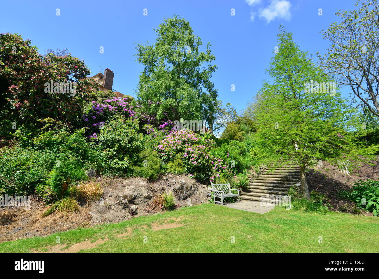 An English country garden Stock Photo - Alamy