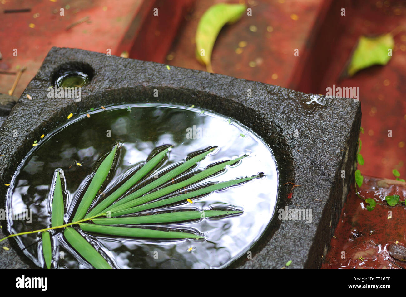 Floating leaf in monolithic water bowl Stock Photo