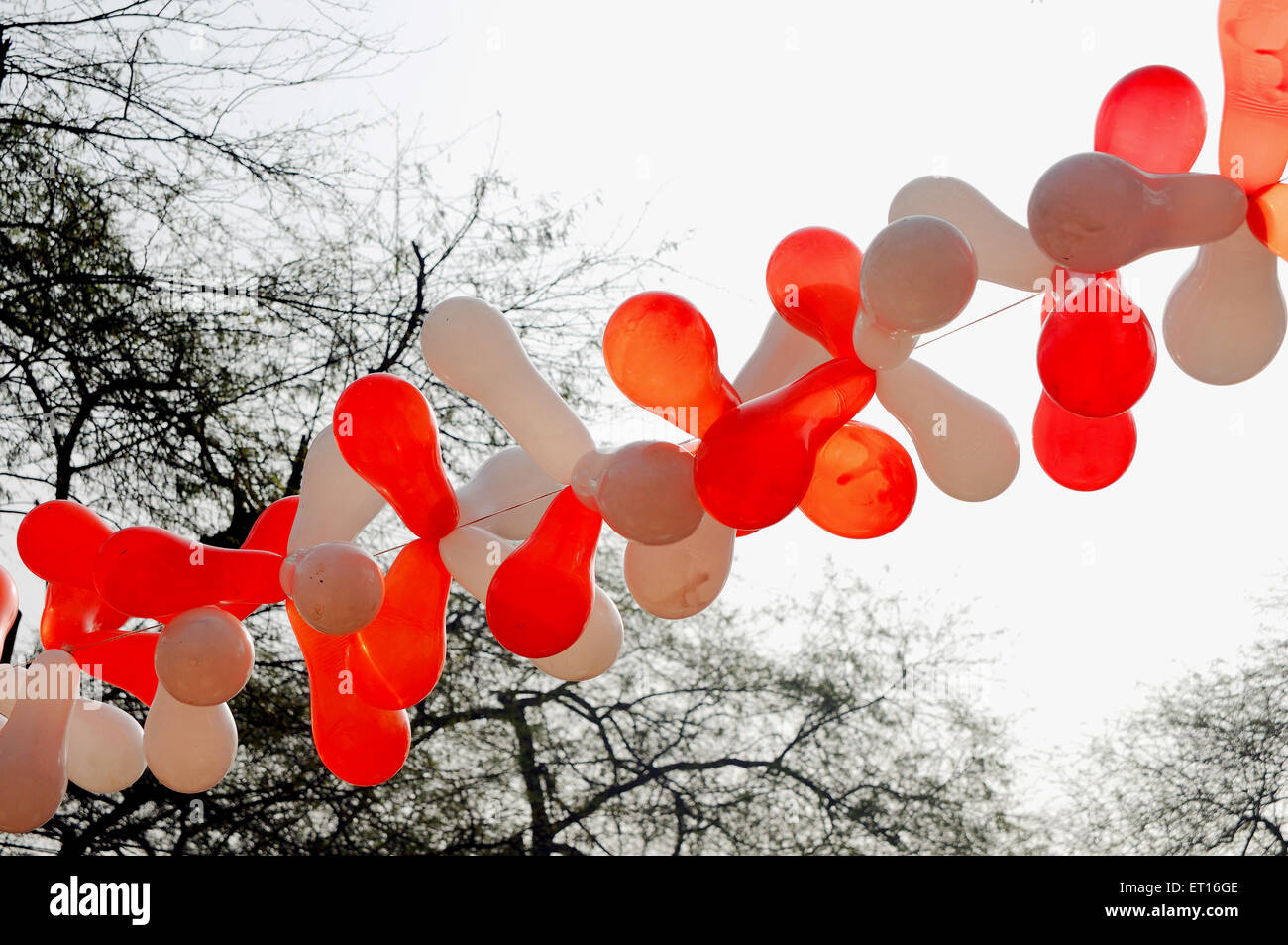 Red and white balloons ; India Stock Photo
