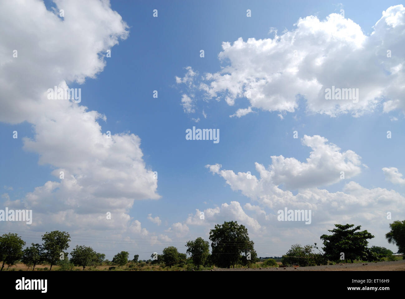 Summer white clouds on blue sky and trees landscape Stock Photo - Alamy