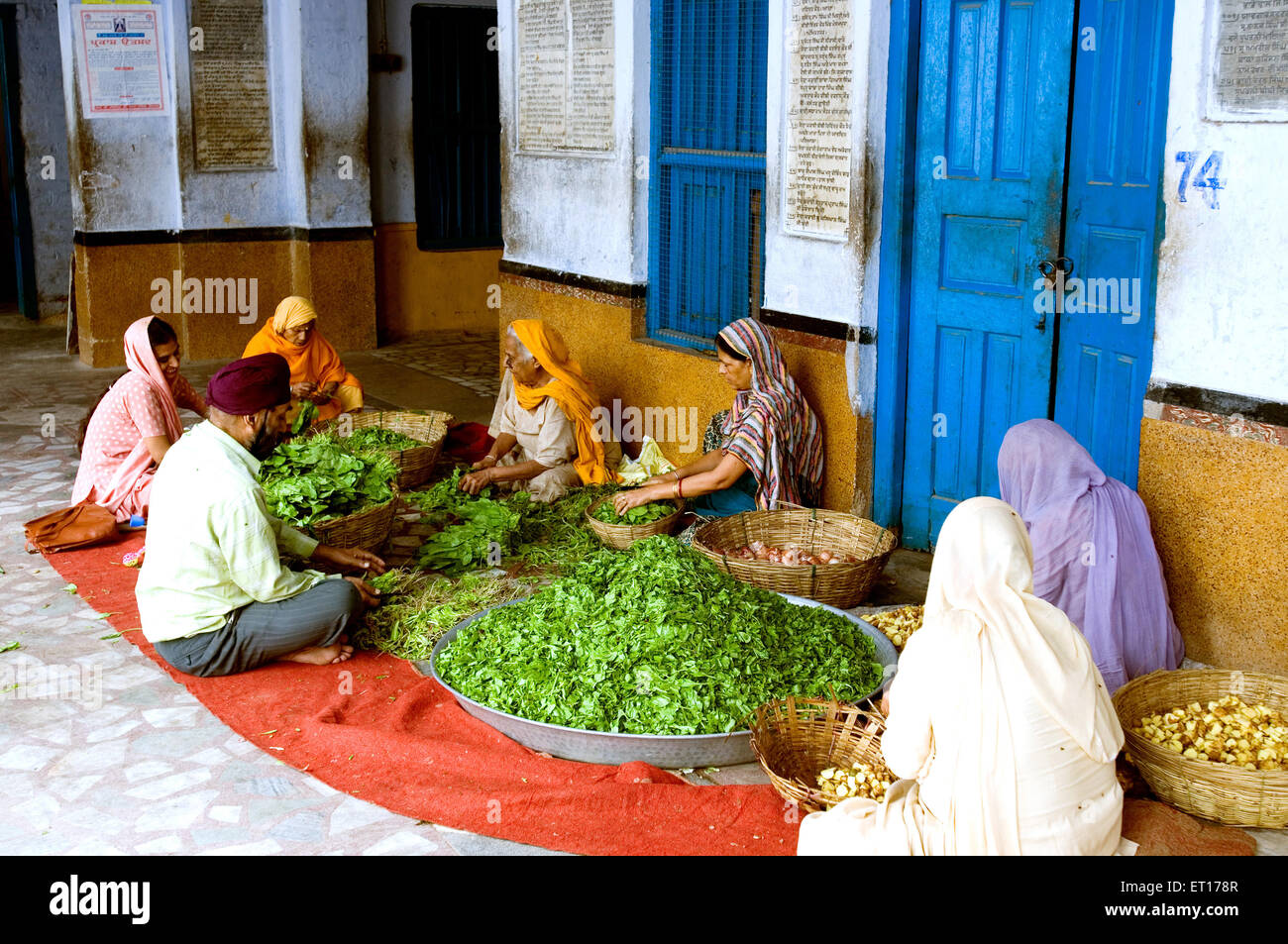 Devotees cleaning vegetables at gurudwara patna sahib ; Patna ; Bihar ; India Stock Photo