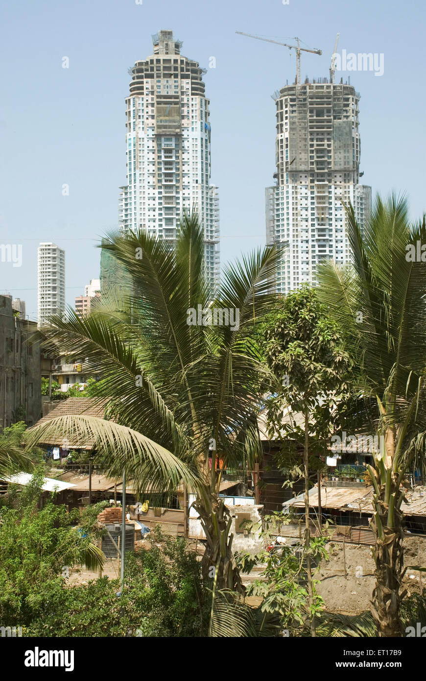 Tallest towers under constructions at Tardeo area ; Bombay Mumbai ; Maharashtra ; India Stock Photo