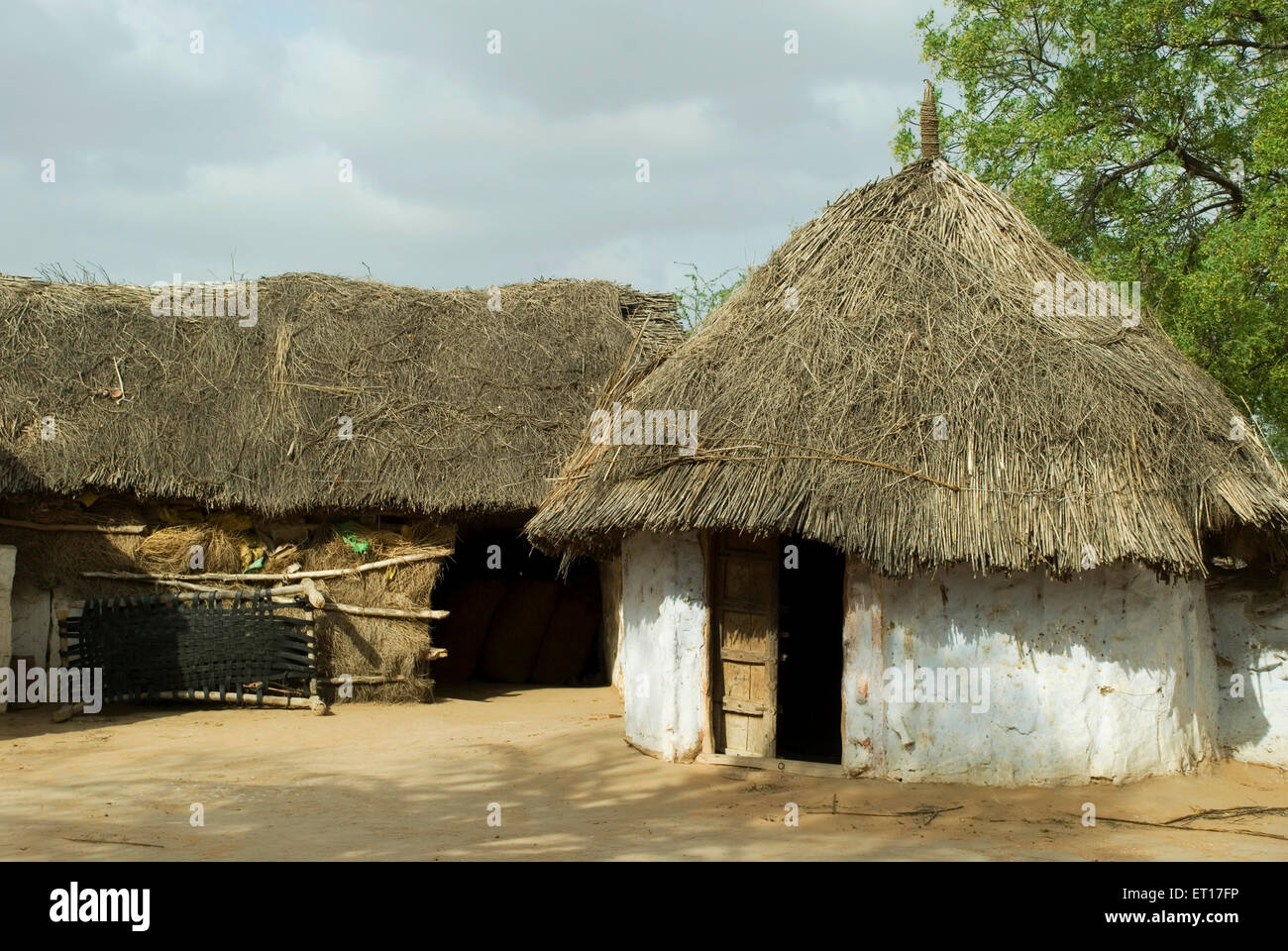 Mud hut ; Tivary ; Jodhpur ; Rajasthan ; India Stock Photo