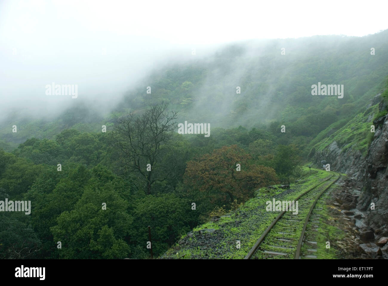 Train track ; Neral to Matheran ; Maharashtra ; India Stock Photo
