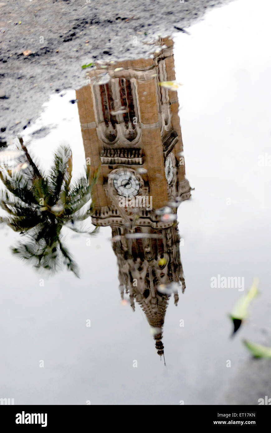 Reflection of Rajabhai tower in water with Green Grass ; Bombay Mumbai ; Maharashtra ; India Stock Photo