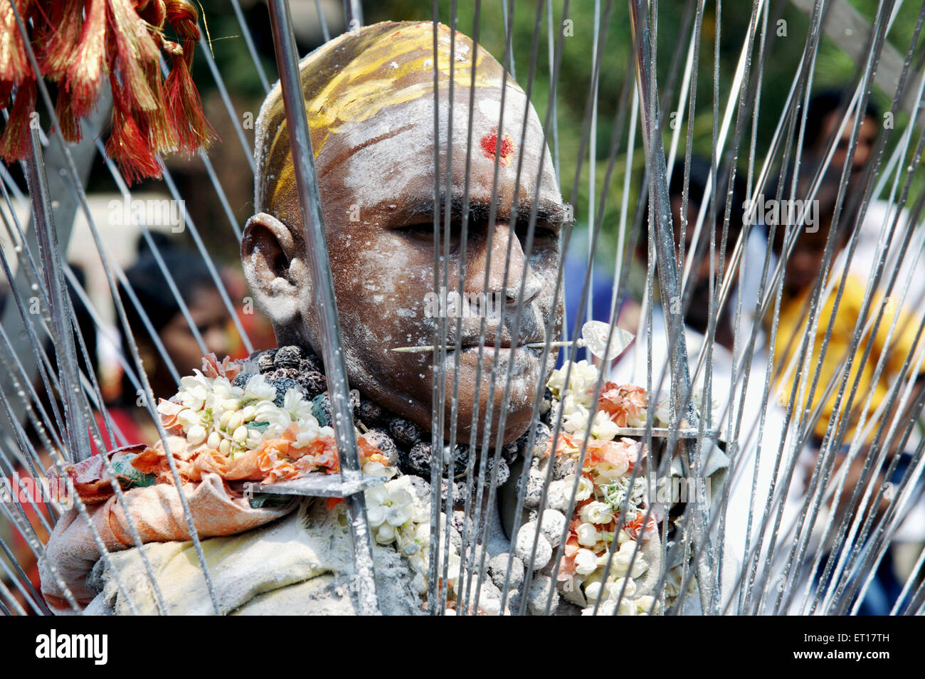 Thaipusam festival, Thaipoosam festival, tongue pierced with small spear, Murugan festival, Vaikasi Visakam, Ayyappa, India Stock Photo