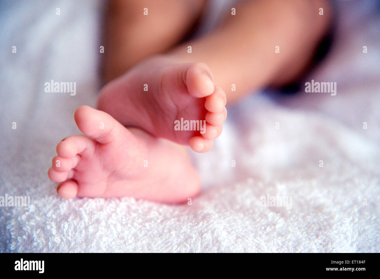 New born baby legs - Model Release # 736LA Stock Photo