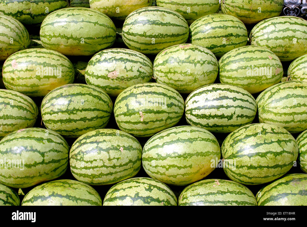 watermelon fruits, Citrullus lanatus Stock Photo