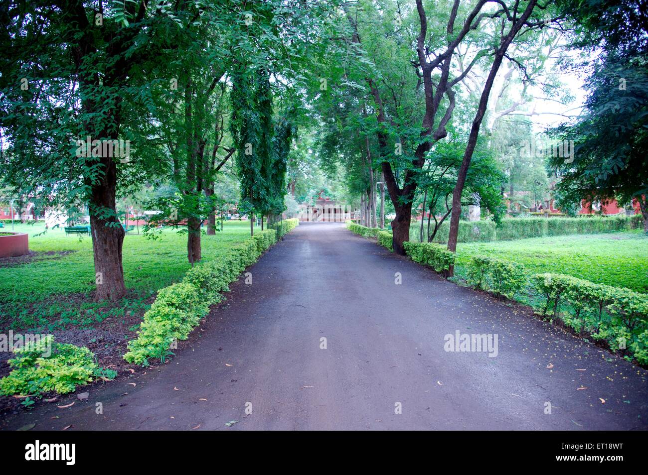 Garden path trees Nasik Nashik Maharashtra India Asia Stock Photo Alamy