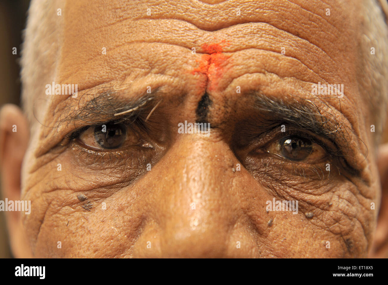 EA of indian Old Man No MR Stock Photo