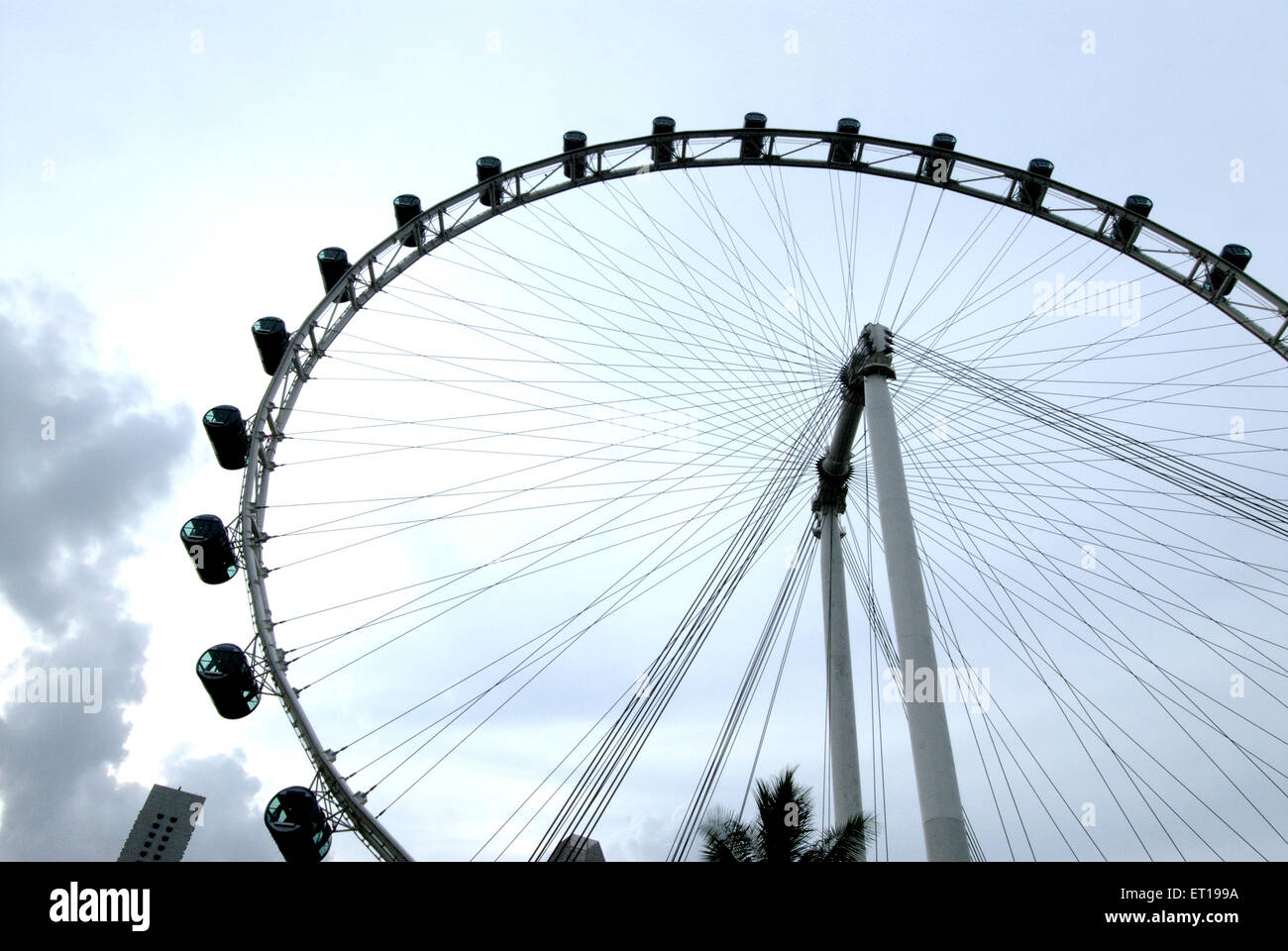 Flyer world largest giant observation wheel ; Singapore Stock Photo