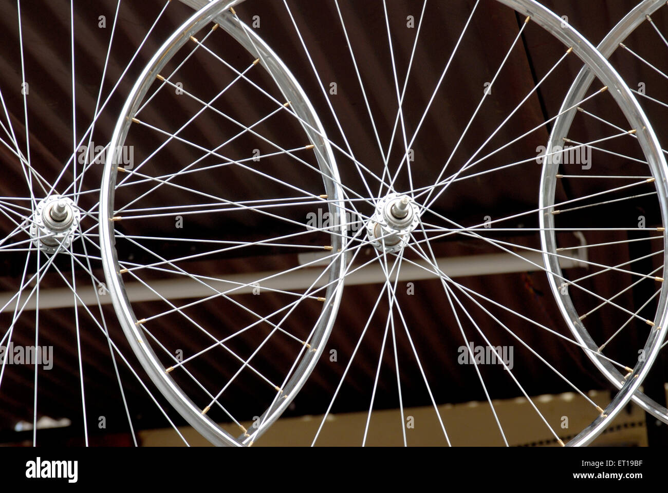 Bicycle wheels Stock Photo
