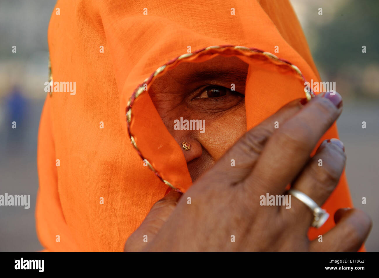 Rajasthani woman in veil India Asia MR#364 Stock Photo - Alamy
