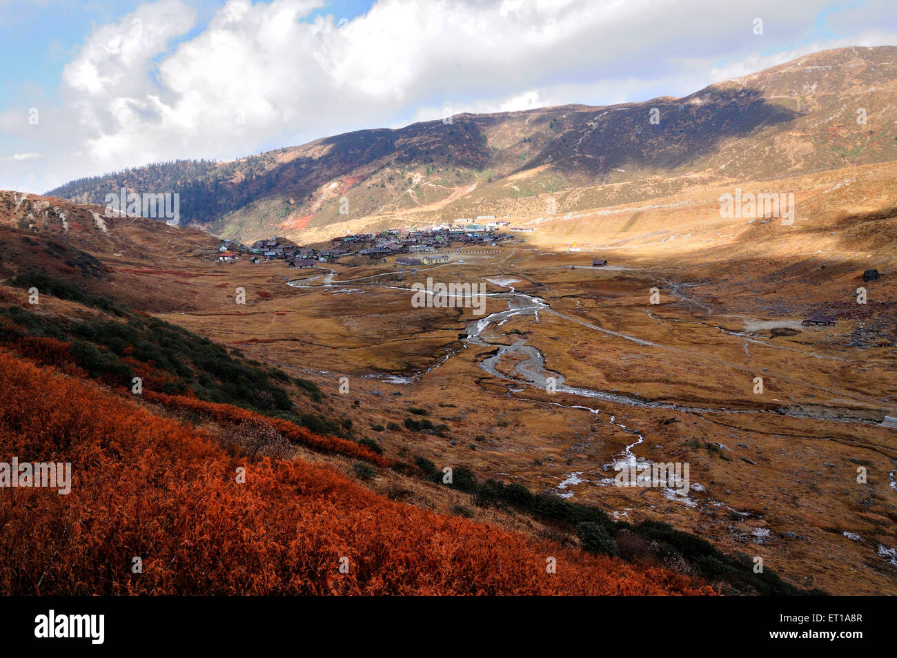 Nathang Valley (Gnathan Valley) Zuluk (Dzuluk) Sikkim India Asia Stock Photo