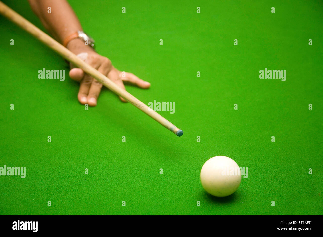 Hand with billiard stick ready to push the white ball on the green