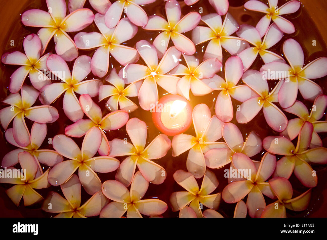 Flowers and candle light floating on water in a Spa ; Palolem beach ; Goa ; India Stock Photo