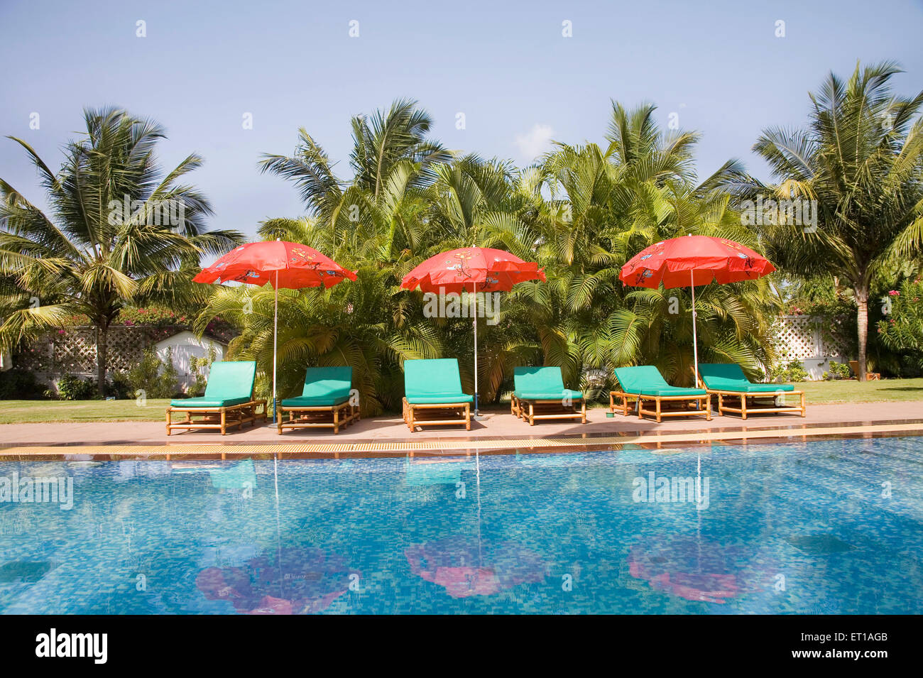 Three red color beach umbrella near the swimming pool blue water green palm trees and blue sky ; Palolem beach ; Goa ; India Stock Photo