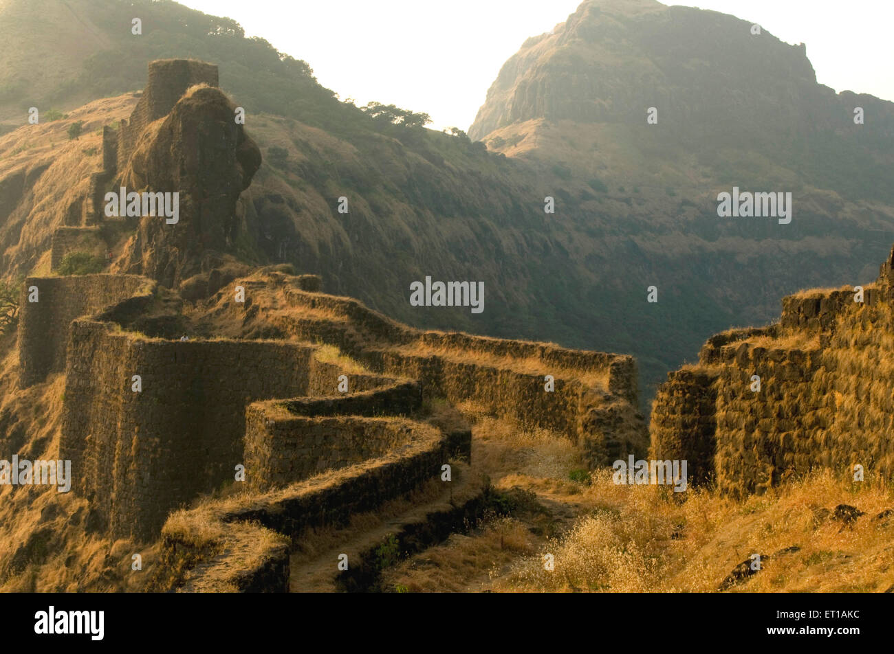 rajgad-map