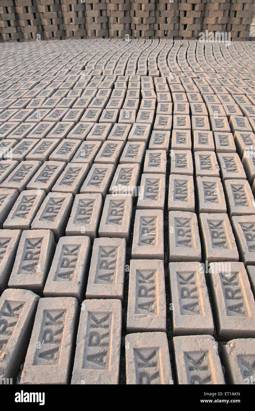 Bricks in brick factory ; Karjat ; district Raigad ; Maharashtra ; India Stock Photo