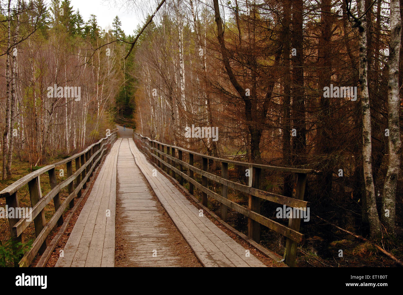 wooden bridge tyresta national park Sweden Stock Photo