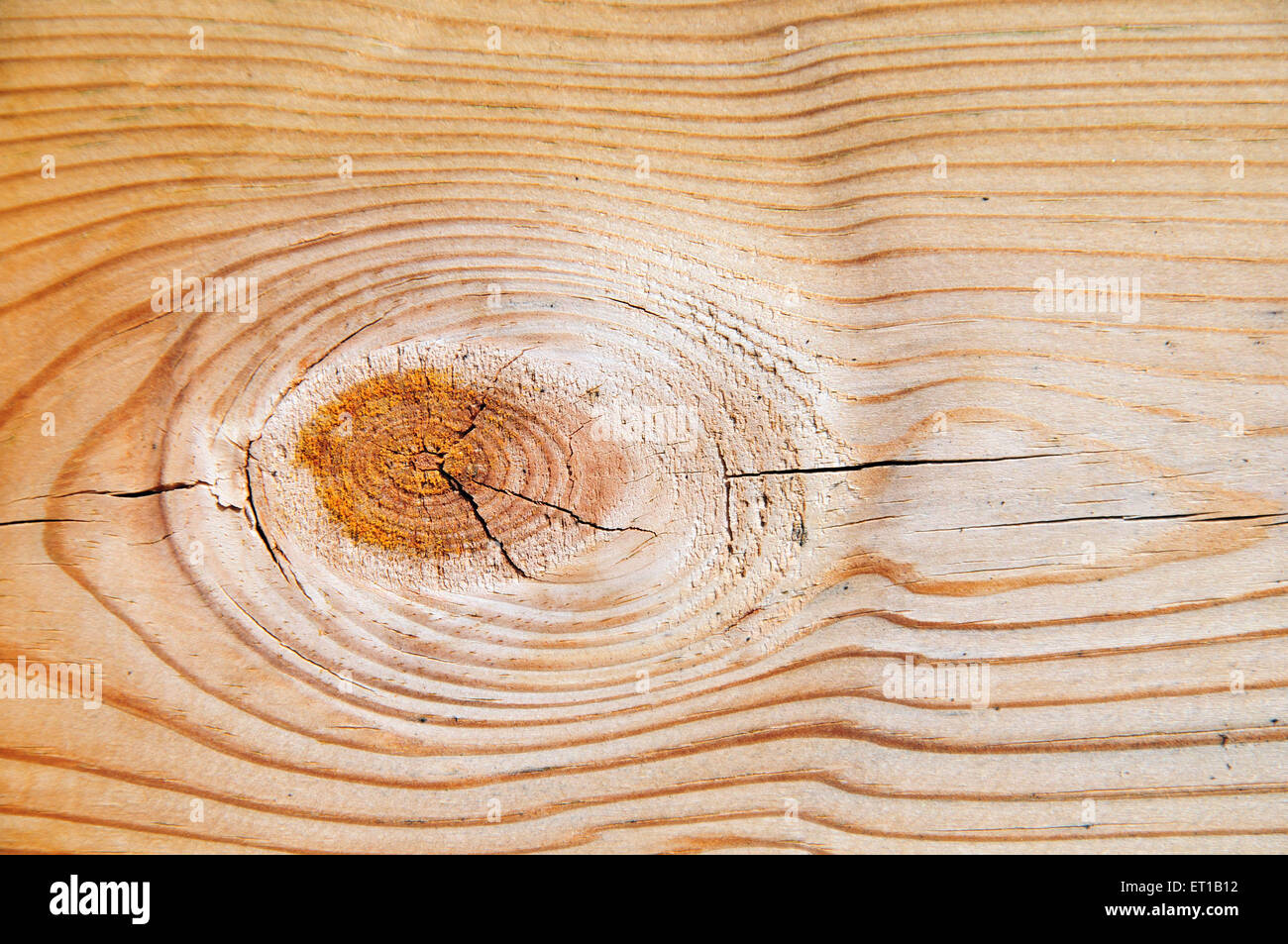 pine wood grain structure Sweden Stock Photo