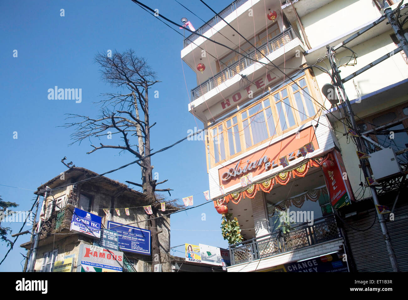 Hotel Building, McLeod Ganj, McLeodganj, Little Lhasa, Dhasa, Dharamshala, Kangra district, Himachal Pradesh, India Stock Photo