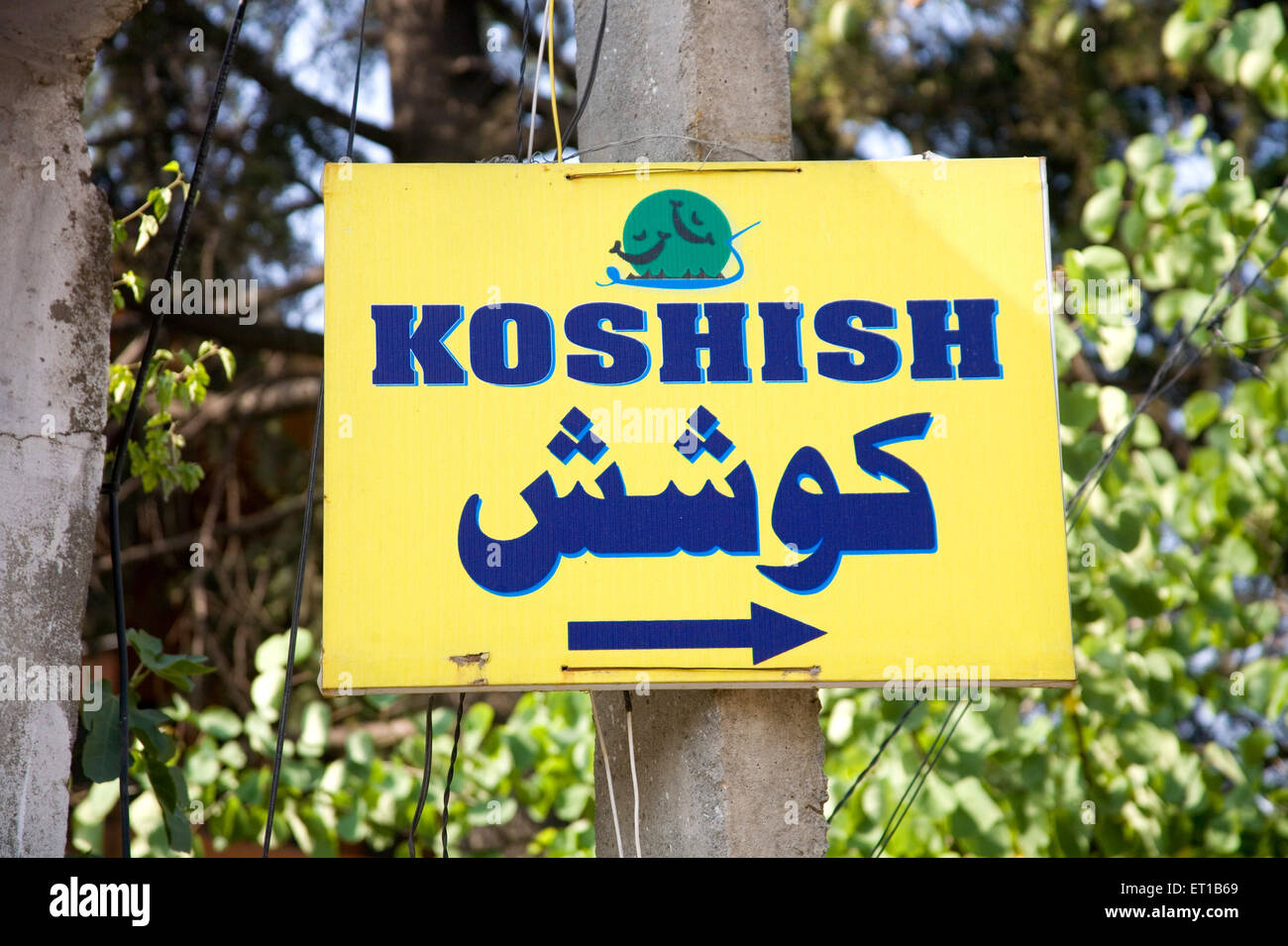 Koshish sign board in English and Urdu with direction arrow ; Srinagar ; Kashmir ; Jammu and Kashmir ; India ; Asia Stock Photo