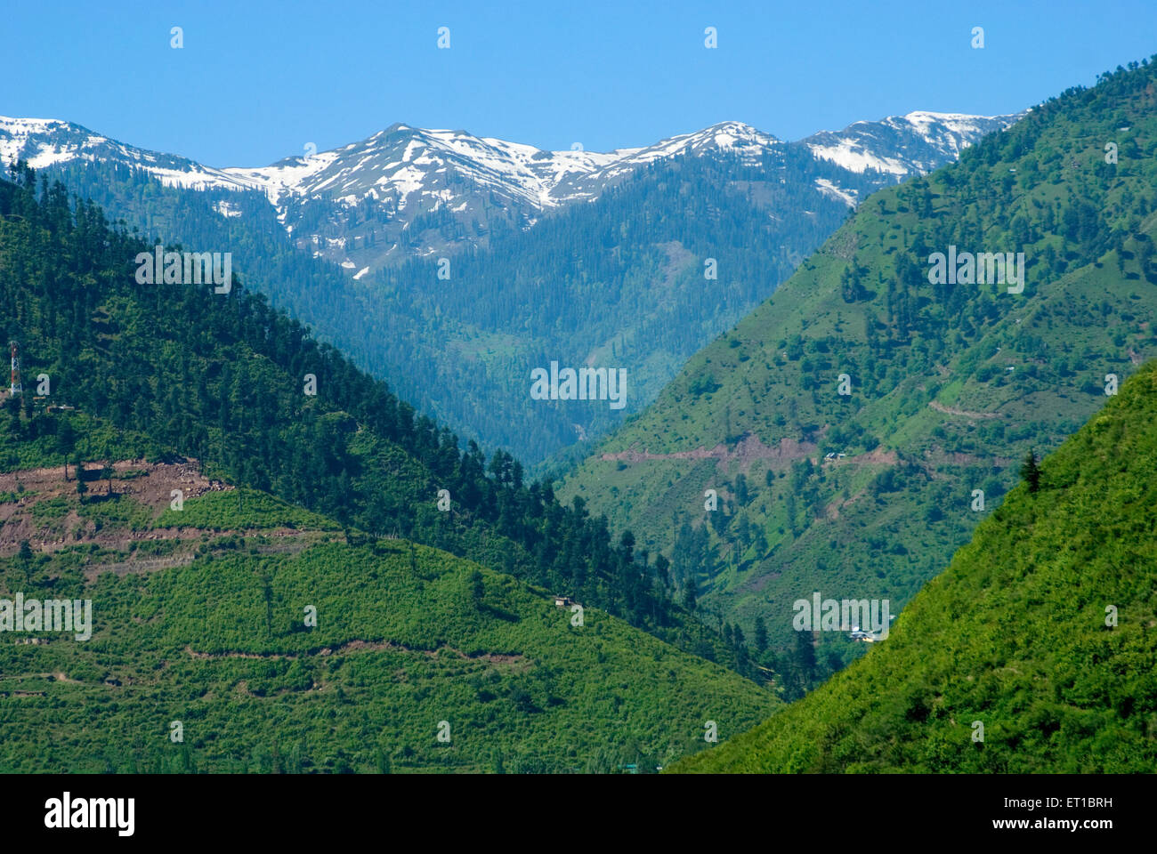 Beautiful scene of green and snow mountains Gulmarg Srinagar Jammu and Kashmir India Asia Stock Photo