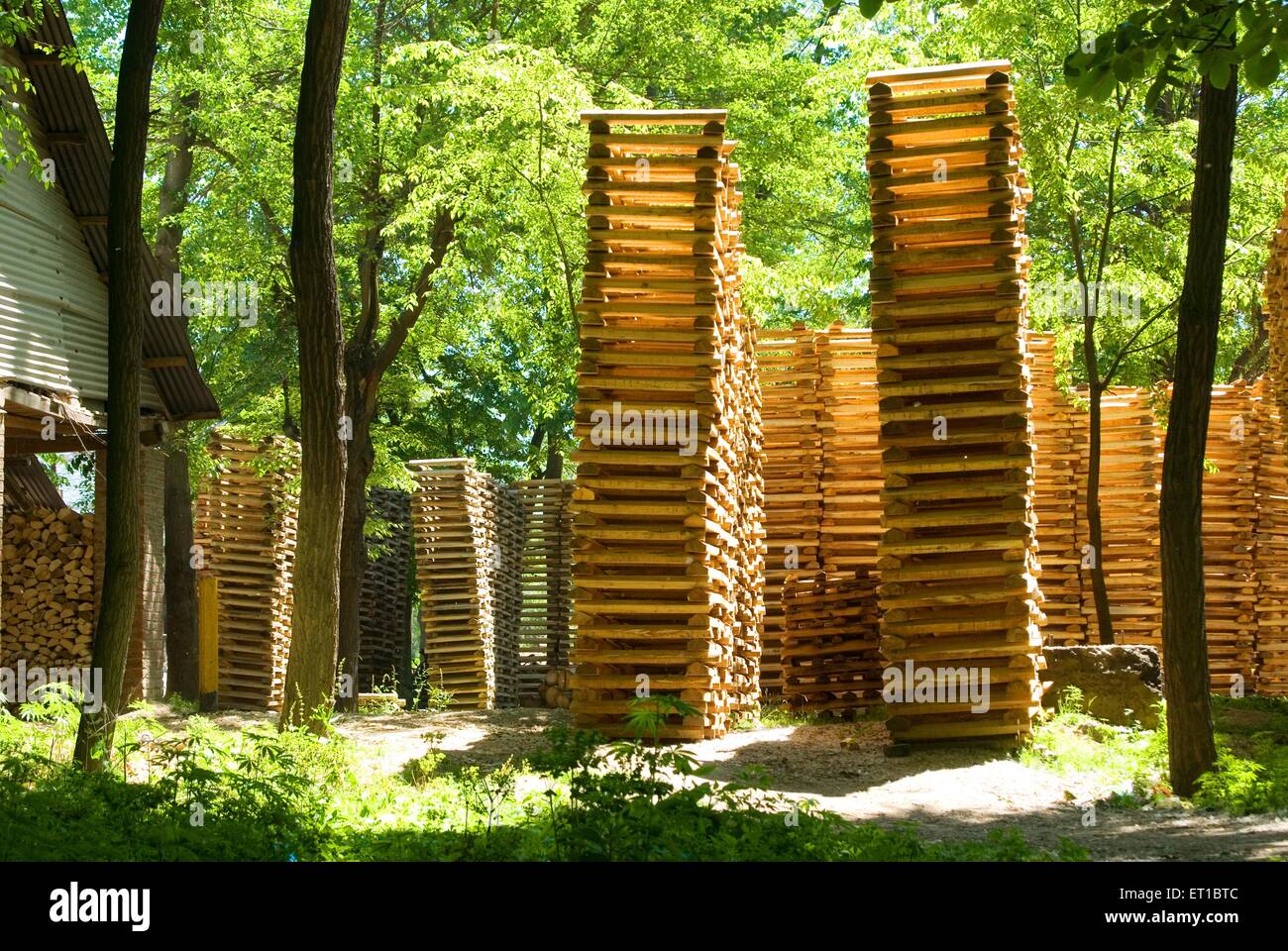 A cricket bat factory Kaajigund on Srinagar Jammu and Kashmir India Asia Stock Photo