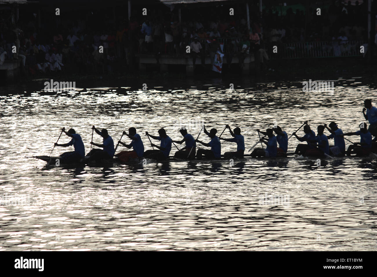 Boat race in backwaters at Alleppey Alappuzha ; Kerala ; India Stock Photo